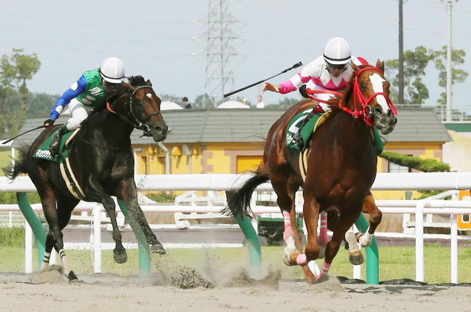 　プロキオンＳを制したベストウォーリア（右）。福永の手からムチが落ちる（撮影・佐藤春彦）