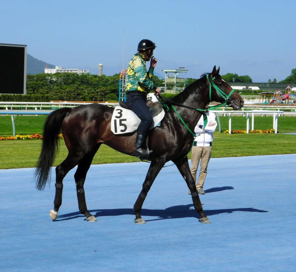 　堅実性が光るエアソミュール