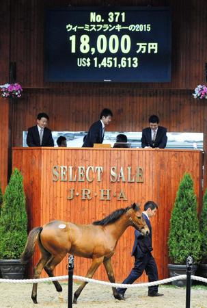 　２日目最高額１億８０００万円で野田順弘氏が落札したウィーミスフランキー１５