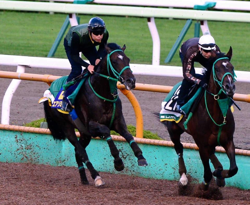 　エアソミュール（左）は函館Ｗで軽快な走りを披露