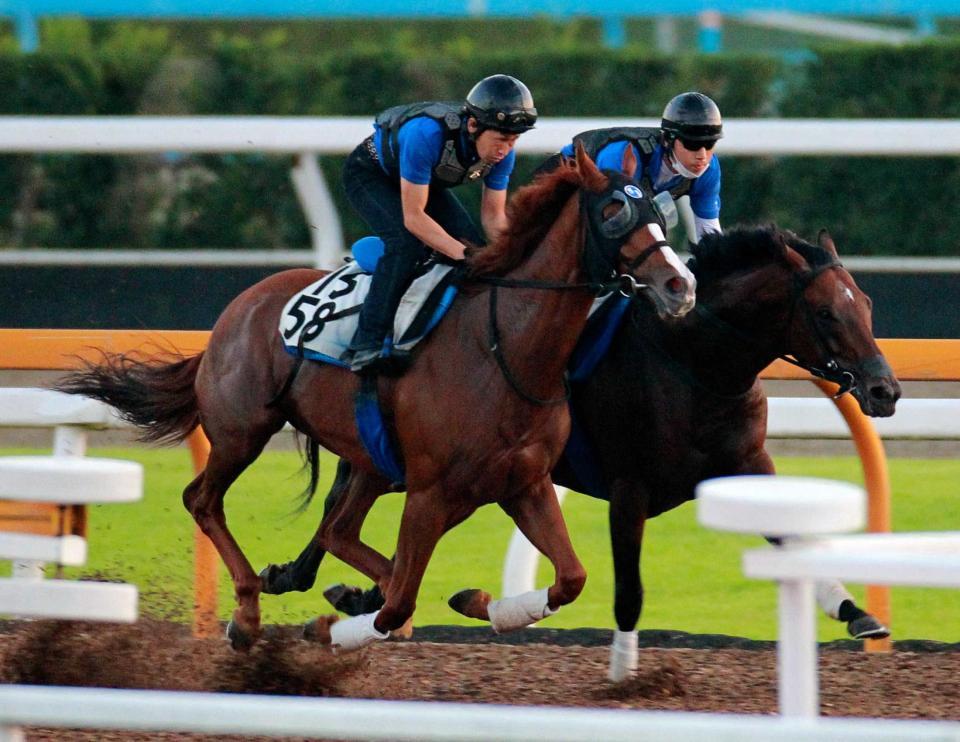 　同じレースに出走するクラージュドールに首差先着したトゥザレジェンド（手前）