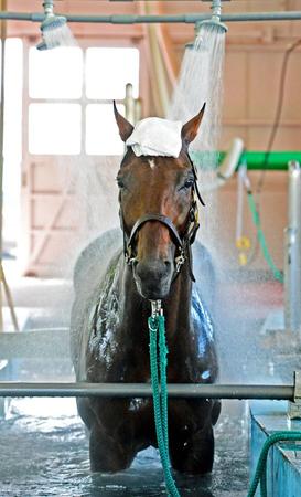 　温泉に入ってリラックスするリベルタス
