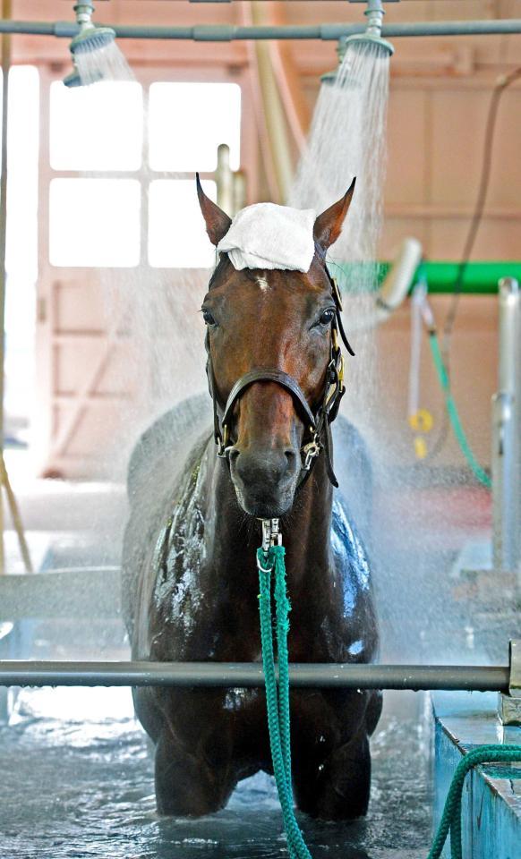 　温泉に入ってリラックスするリベルタス
