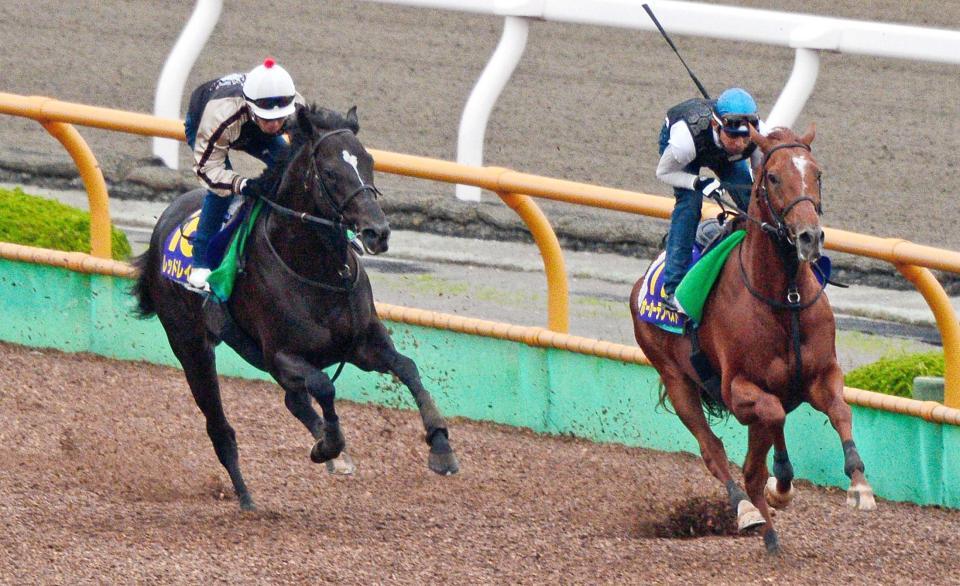 　函館Ｗで併走追いを行ったレッドレイヴン（左）とホーカーテンペスト