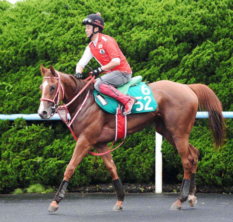 　意欲の連闘策で重賞Ｖを狙うドナルチア
