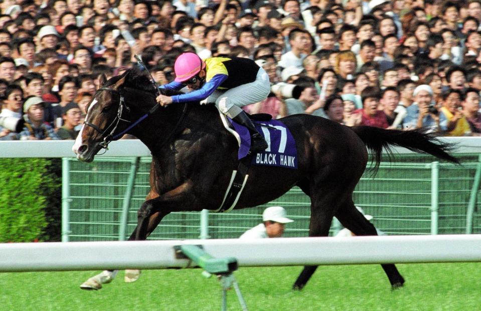 ブラックホーク死亡 21歳 ｇ１ ２勝 競馬 レース デイリースポーツ Online