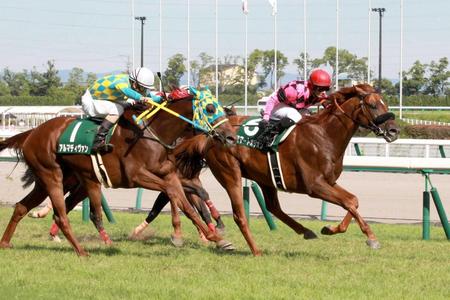 　１３番人気の低評価ながら２着だったアルマディヴァン（手前）