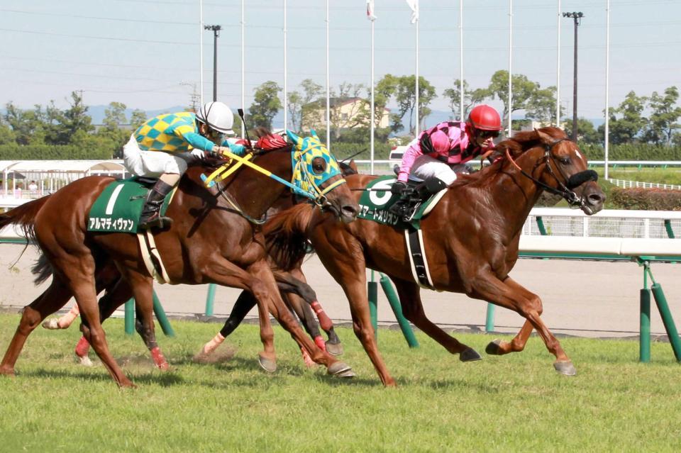 　１３番人気の低評価ながら２着だったアルマディヴァン（手前）