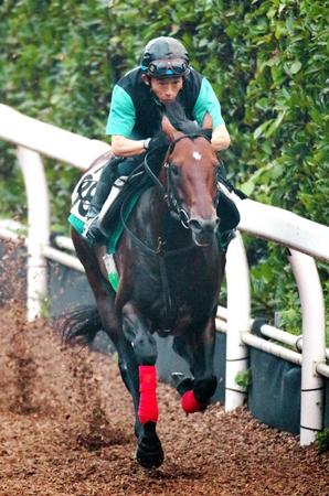 　栗東坂路で追い切るアースソニック