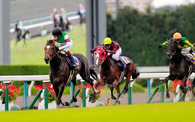 菊花賞、ＪＣ制したエピファネイア引退/競馬・レース/デイリースポーツ