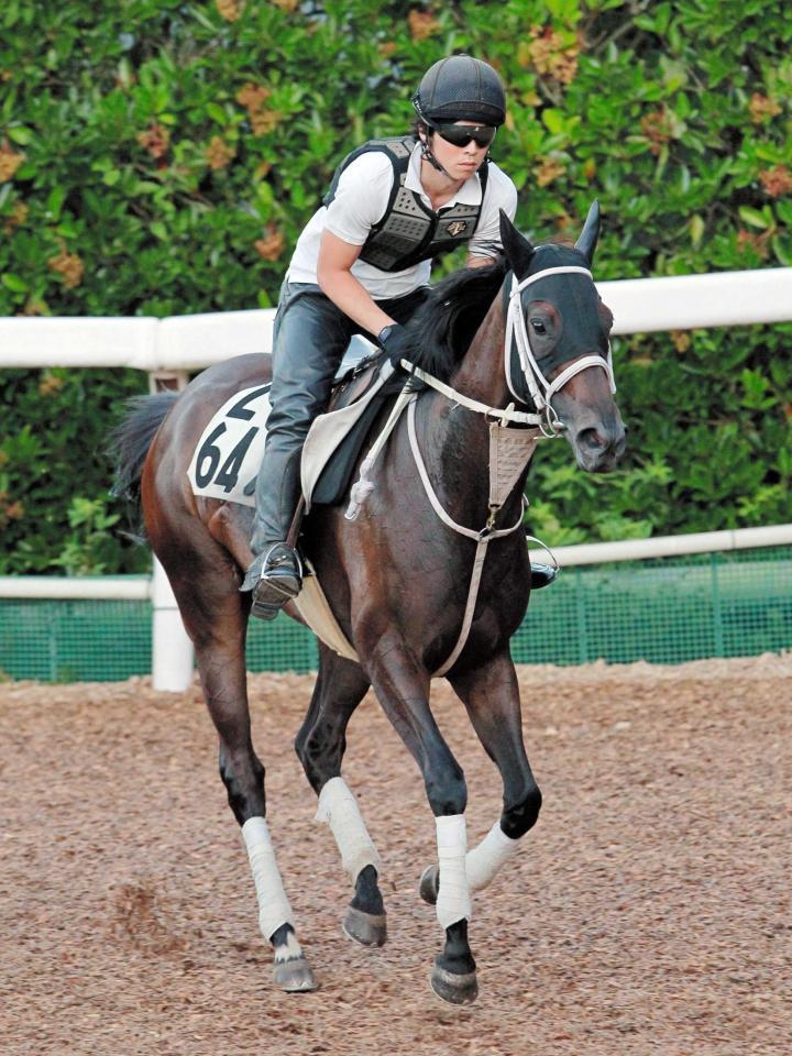 　陣営が重賞初Ｖに手応えを感じているウインプリメーラ