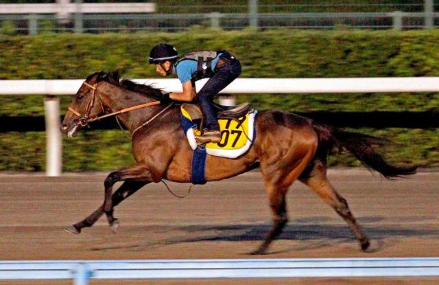 小倉記念 マロー 関東馬初ｖへ疾走 競馬 レース デイリースポーツ Online