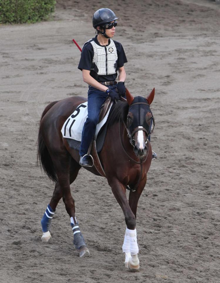 　カチューシャが好相性の札幌で巻き返す