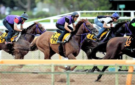 　美浦Ｗで追い切るスマートオリオン（左から２頭目）