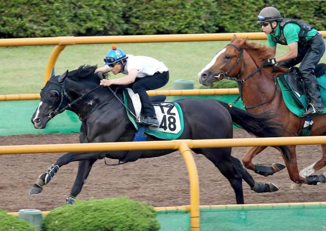 【エルムＳ】攻めのソロル２馬身先着