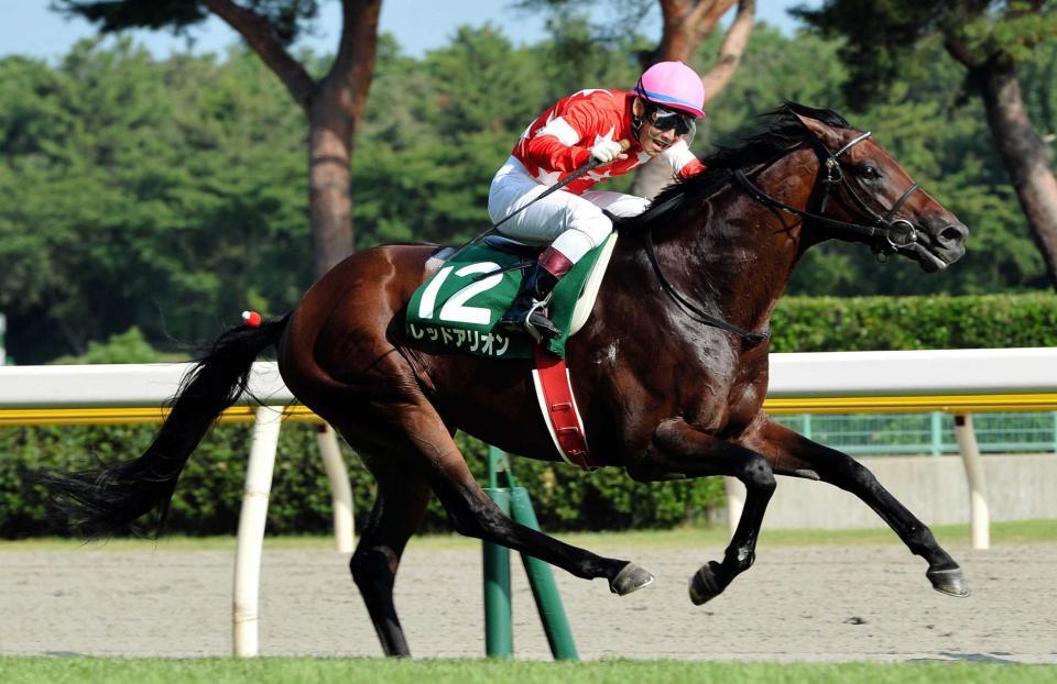 　兄クラレントに続き関屋記念を制したレッドアリオン