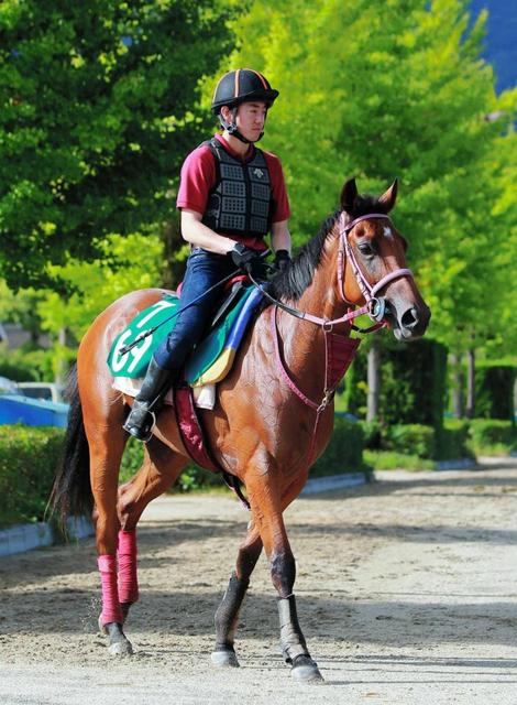 【ＰＯＧ】レッドディヴェル“闘走”だ