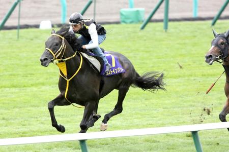 　札幌芝で追われたラストインパクトは全身バネのような動き