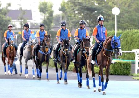 　僚馬を引き連れて運動するハギノハイブリッド（右端）