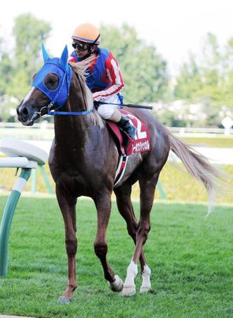 　８着のトーホウジャッカル