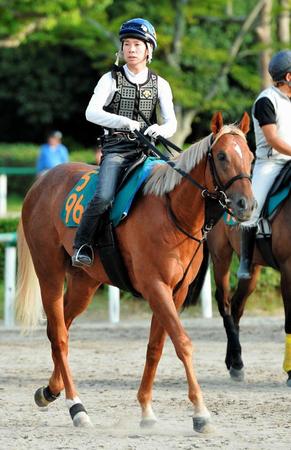 　素質豊かなヒプノティスト