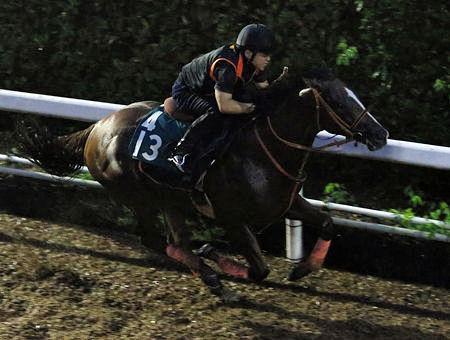 期待が大きいレッドカーペット