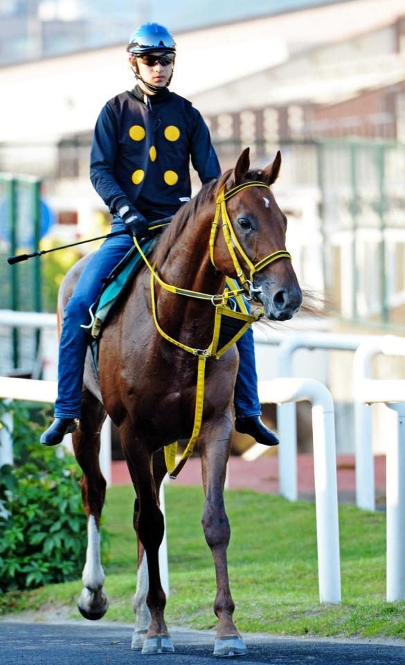 　さらなる上積みを感じさせるスパーキングジョイ