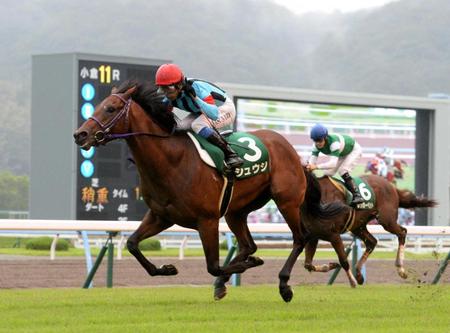 　初距離と出遅れを克服し、デビュー３連勝で重賞初制覇を遂げたシュウジ（左）