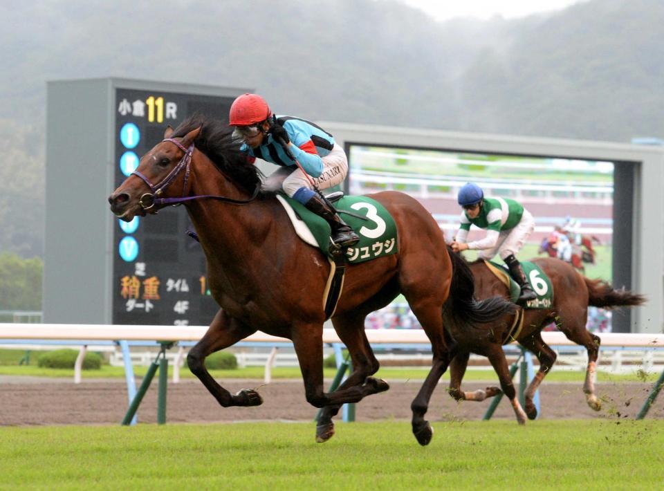 　初距離と出遅れを克服し、デビュー３連勝で重賞初制覇を遂げたシュウジ（左）