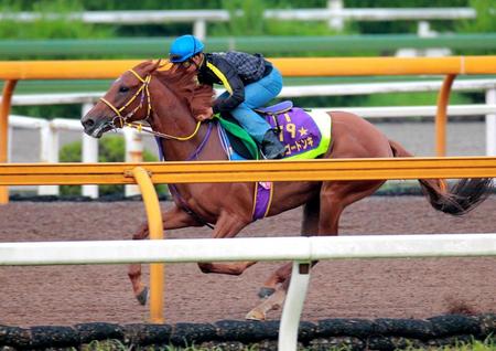 　岩田を背に栗東ＣＷで追われるレッツゴードンキ