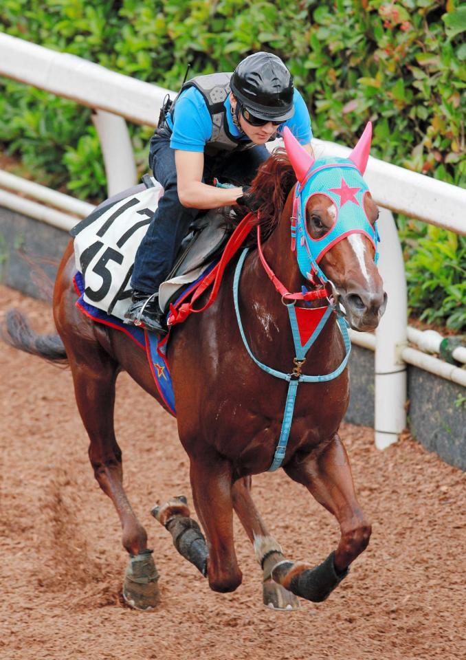 　閉門間際の栗東坂路でハクサンムーンはラスト重点に躍動した