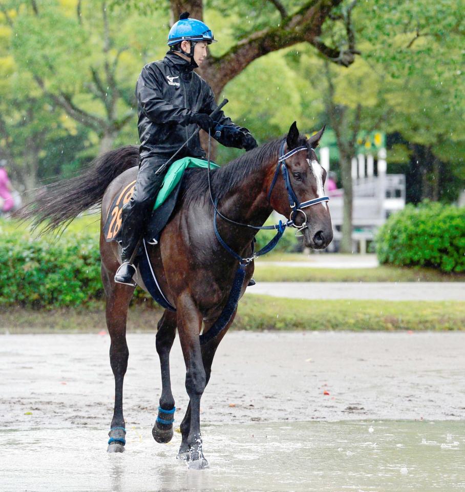 　松岡を背に大雨でできた水たまりを歩くヤングマンパワー