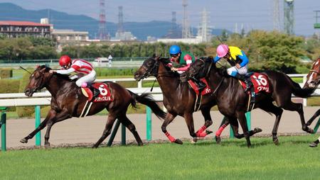 押し切りを狙うアクティブミノル（左）＝阪神競馬場（撮影・石湯恒介）