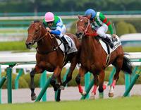 最内から抜けだすメイケイレジェンド（左）＝阪神競馬場（撮影・石湯恒介）