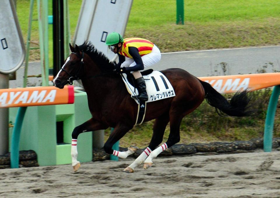 メイクデビュー中山を制したクレマンダルザス