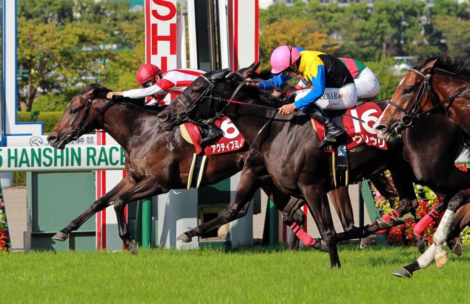 　後続の猛追を鼻差しのぐアクティブミノル（左）＝撮影・石湯恒介