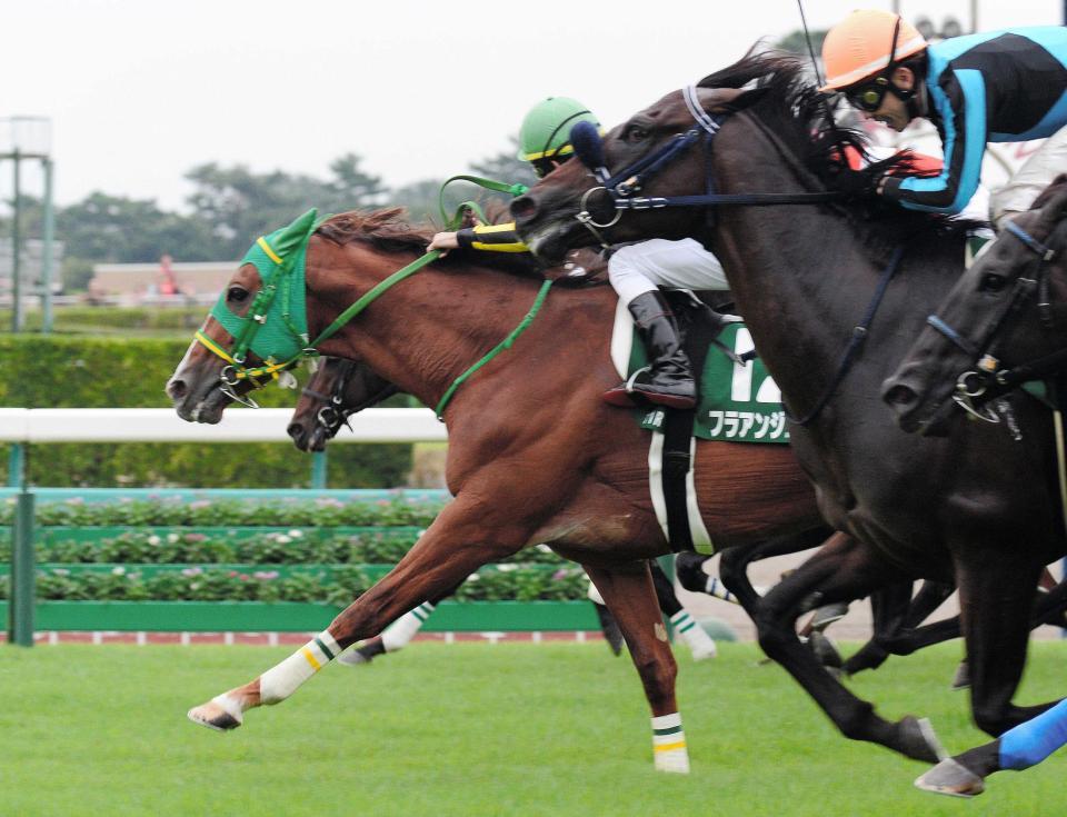 　ゴール前、差し切ったフラアンジェリコ（左）＝撮影・三好信也