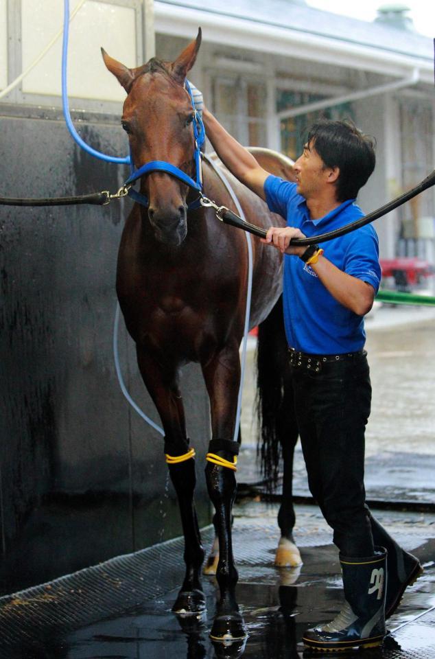 　前哨戦を勝ってオークス馬ミッキークイーンは堂々と主役として秋華賞へ向かいたい