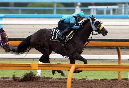 　栗東ＣＷでキタサンブラックは好時計をマークした