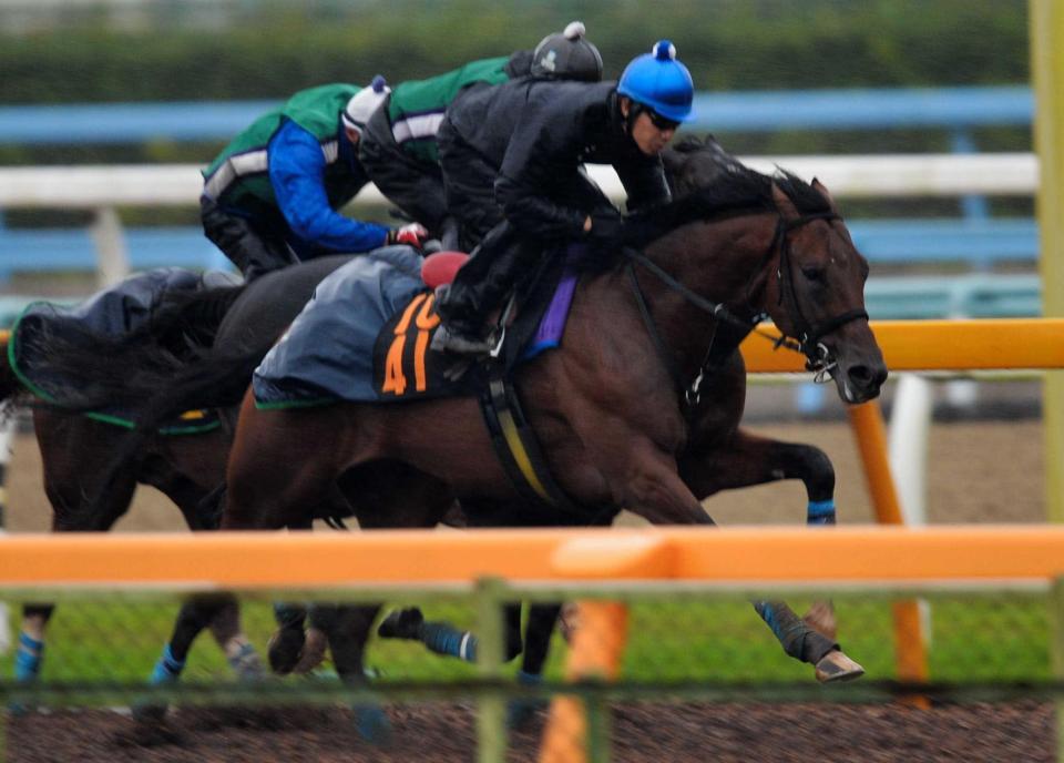 　美浦Ｗで鋭い伸びを見せたブライトエンブレム（撮影・田村亮介）