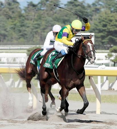 　レパードＳを制したクロスクリーガー＝８月９日新潟競馬場