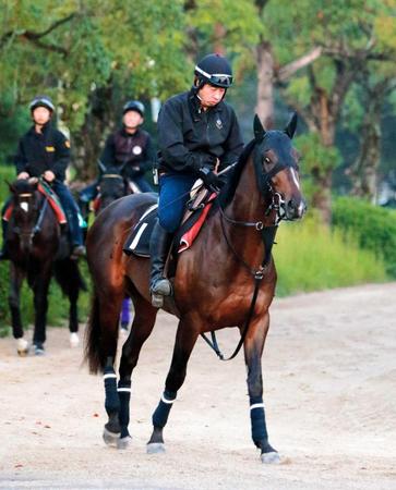 　一発ムードが漂うトーセンバジル