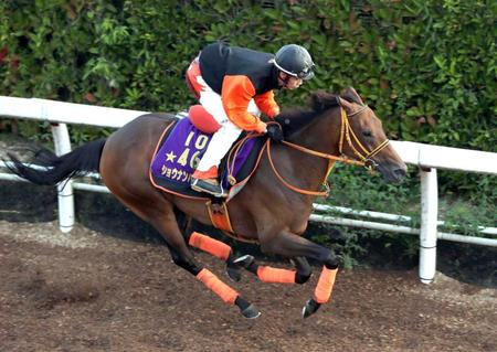 　栗東坂路で鋭く伸びたショウナンパンドラ