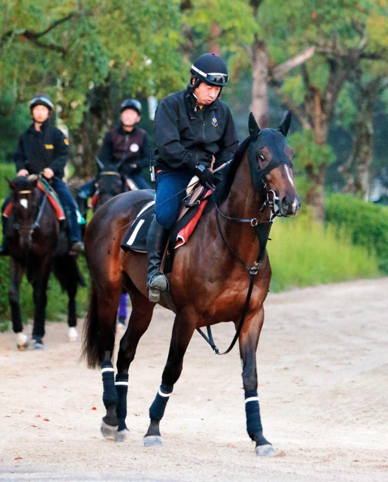 　一発ムードが漂うトーセンバジル