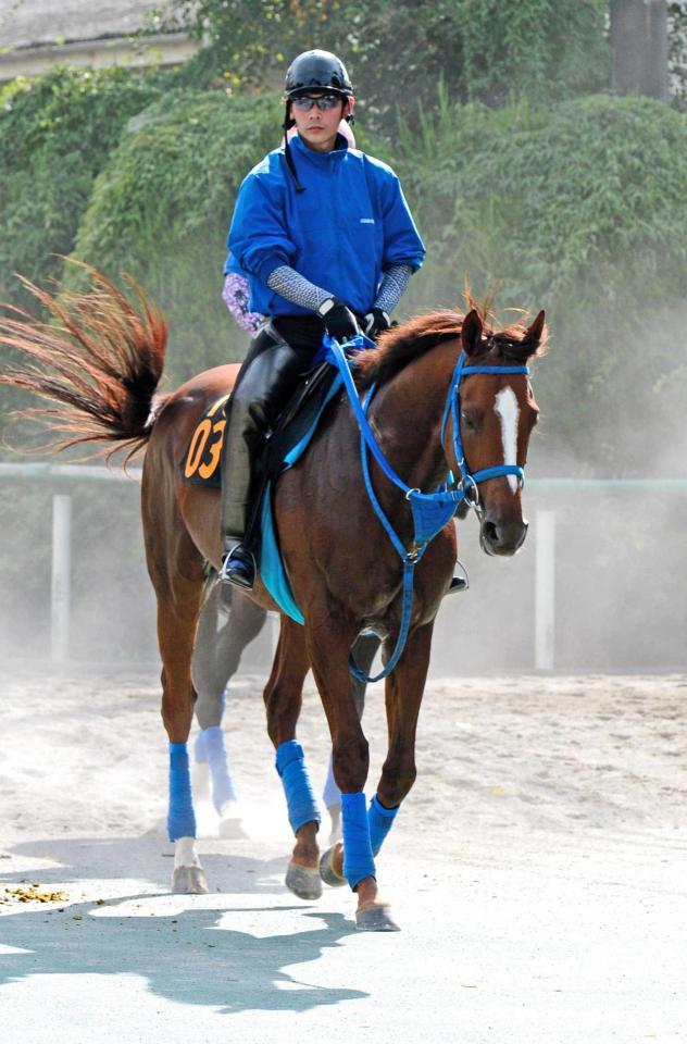 　まだ底を見せていない素質馬マッサビエルが勇躍西へ向かう