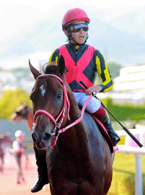 【神戸新聞杯】スティール届かず２着