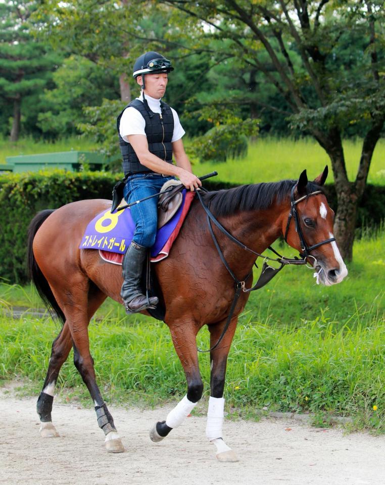 　期待通りの上積みを見せるストレイトガール