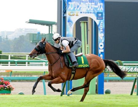 　ルメールを背に中山芝を力強く駆け抜けたリッチタペストリー（撮影・三好信也）