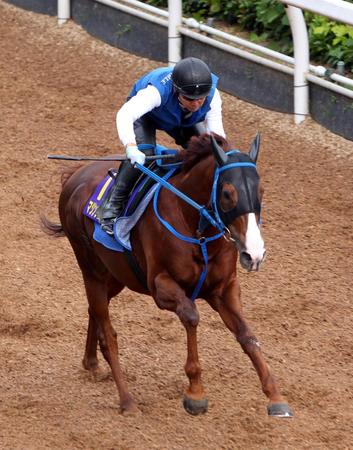 　出走取消が発表されたマジンプロスパー