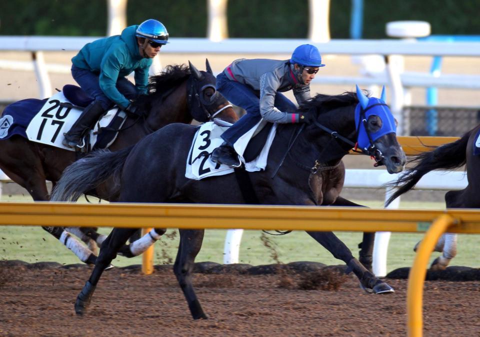 栗東ＣＷで武豊騎手を背に追い切るエイシンヒカリ＝栗東トレセン（撮影・山口登）